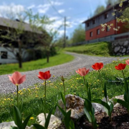 The Riverside Chill Hostel Bled Exterior photo